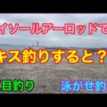 ダイソールアーロッドでキス釣りすると？五目釣り 泳がせ釣り 知多半島