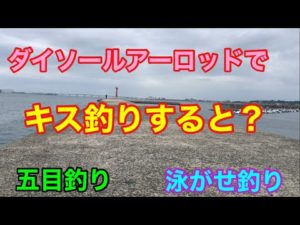 ダイソールアーロッドでキス釣りすると?五目釣り 泳がせ釣り 知多半島