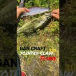 撮影翌日、釣りをしないで欲しいと宣告をされお蔵入り…😱一部の釣り人さん…池の水を勝手に抜かないで下さい…😨笑  ジョイクロ 尺ワン ガンクラ