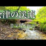 釣り人で賑わう人気河川の支流。ひっそりと流れる細沢に初入渓【渓流釣り】【渓流ルアー】