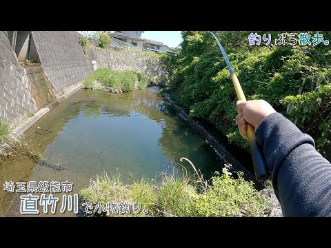 埼玉県 飯能市 直竹川で小物釣り。爆釣ポイントで最後にめちゃ大物きましたー！