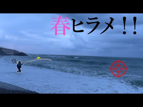 【ヒラメ釣り】遂にきたっ...!!春のサーフで実績抜群のワームを投げると...【開幕か?!】