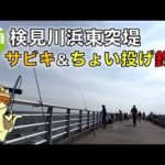 5月の検見川浜東突堤でサビキ釣り＆ちょい投げ釣査｜赤潮が疑われる海で、当たりがない中、釣れた魚はまさかの・・
