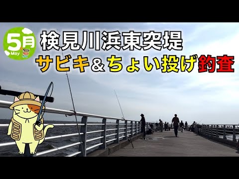 5月の検見川浜東突堤でサビキ釣り＆ちょい投げ釣査｜赤潮が疑われる海で、当たりがない中、釣れた魚はまさかの・・