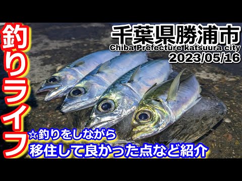 【千葉県勝浦市】釣りをしながら移住して良かった点など紹介！！