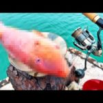 釣ったアノ魚でラーメン作ったら衝撃の味だった…