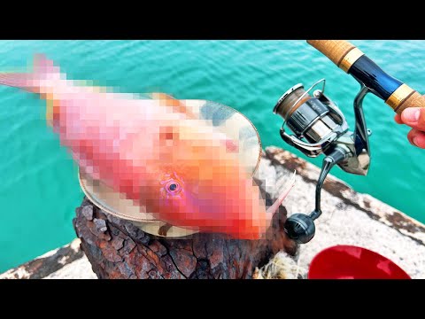 釣ったアノ魚でラーメン作ったら衝撃の味だった…