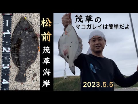 【松前：茂草海岸】カレイ釣り