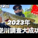 【埼玉バス釣りポイント】今年の逆川も熱い！デカイ！釣れる！【ブラックバス】