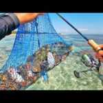 釣った魚を売ったらいくら稼げる？驚きの金額に！