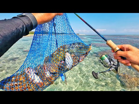 釣った魚を売ったらいくら稼げる？驚きの金額に！