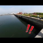 ［マニアック釣り情報］マジで釣れなそうな場所で…　　※りんくう前島
