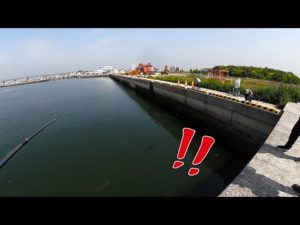 ［マニアック釣り情報］マジで釣れなそうな場所で…　　※りんくう前島
