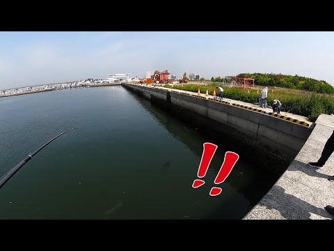 ［マニアック釣り情報］マジで釣れなそうな場所で…　　※りんくう前島