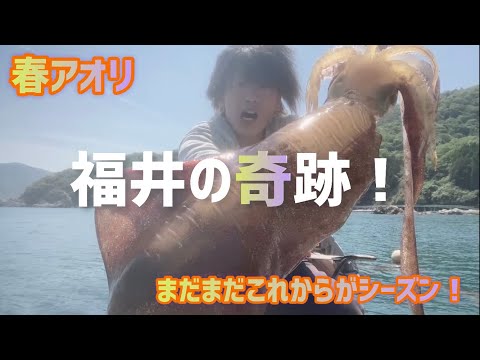 【春アオリ序盤！これはでかい！】ヤエン釣り【穴場の筏！】福井県　浜岸渡船
