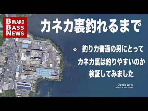 【すいません！】カネカ裏で２週間釣り込んでみた結果を、エリア解説と共に共有します【琵琶湖】
