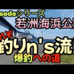 東京【若洲海浜公園】釣りn's流だからおもしろい釣りになる!!