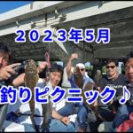 2023年5月　釣りピクニック　マゴチ&シーバス