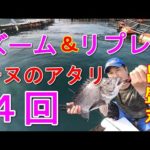 【明瞭】昌盛丸で良型のチヌが連発【かかり釣り】