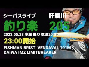 シーバスライブ【釣り楽205】