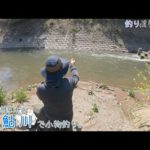 厚木の春の小鮎川で小物釣り。丸ウキが吸い込まれるー！！！