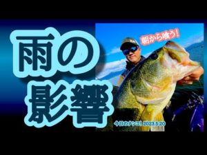 【今日のナンコ！2023.5.20】雨の影響【琵琶湖バス釣り】