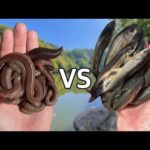 ウグイVSミミズ - どっちが釣れるか対決したら完全に決着ついた【生き餌バス釣り】