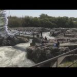 闘竜灘でアユ釣り解禁