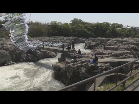 闘竜灘でアユ釣り解禁