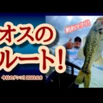 【今日のナンコ！2023.5.6】オスのルート！【琵琶湖バス釣り】