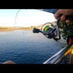 【サビキ釣り】久しぶりの釣りが楽しすぎた！