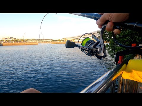 【サビキ釣り】久しぶりの釣りが楽しすぎた！