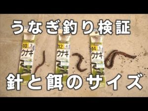 ウナギ釣り　うなぎ針サイズの違いを解説・検証します。