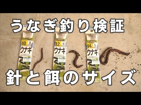 ウナギ釣り うなぎ針サイズの違いを解説・検証します。
