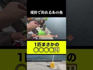小魚バラバラにして釣りしたら○○○○円になった
