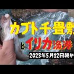 【海釣り】積丹半島イリカ漁港と兜千畳敷2023/5/12