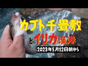 【海釣り】積丹半島イリカ漁港と兜千畳敷2023/5/12