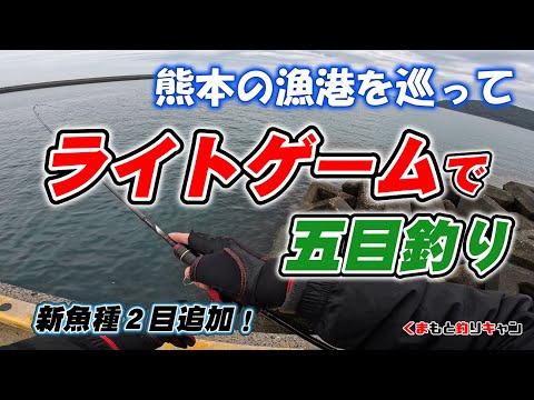 【ライトゲームで五目釣り】新魚種も２目ゲット！熊本の色々な漁港を巡って五目釣るまで行脚してみた
