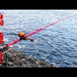 【石鯛釣り】約50日でフルリメイクした名竿が初陣の磯で豪快にブチまがる!!（86）