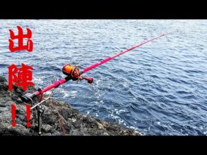 【石鯛釣り】約50日でフルリメイクした名竿が初陣の磯で豪快にブチまがる!!（86）
