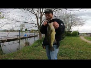 【群馬県】近藤沼でバス釣り！