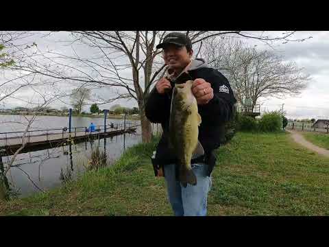 【群馬県】近藤沼でバス釣り!