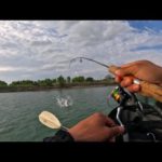 釣りをしてたら警察が出動する騒ぎになってました、、