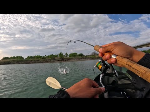 釣りをしてたら警察が出動する騒ぎになってました、、