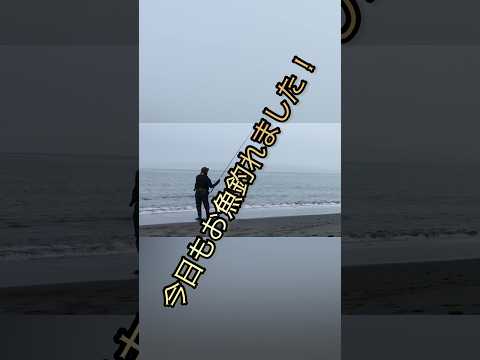 【今日もお魚釣れました！】#shorts #釣り#太平洋 #北海道 #伊達 #室蘭 #苫小牧 #白老 #虻田 #サクラマス #ルアー #fishing