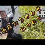 【鮎釣り】サイズ同じに見えますが。。