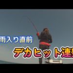 梅雨入り直前　おきなわ　フカセ釣り