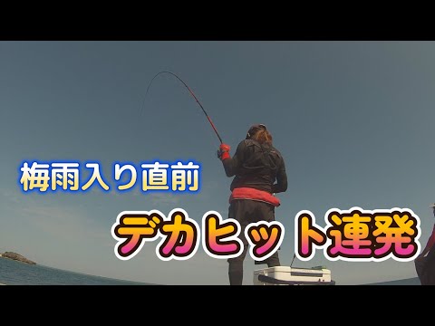 梅雨入り直前 おきなわ フカセ釣り