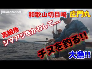 【チヌかかり釣り】kawachannel#13 高級魚シマアジをかわしてチヌを釣る!! 和歌山切目崎 庄門丸