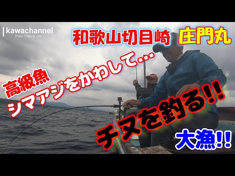 【チヌかかり釣り】kawachannel#13 高級魚シマアジをかわしてチヌを釣る!! 和歌山切目崎 庄門丸